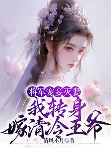 将军妻妾知乎文