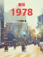 重回1978免费阅读