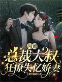 闪婚甜妻总裁大叔夜夜撩