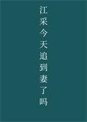 江采今天追到妻了吗免费阅读