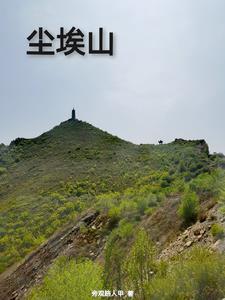 尘埃山神原著叫什么