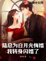 我转身闪婚了完整版