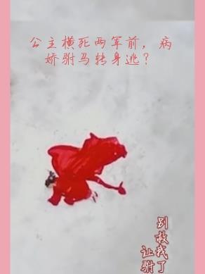 公主病将军治是什么电视剧