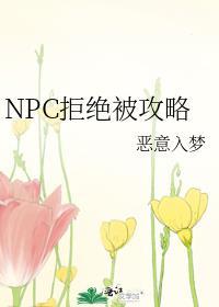 NPC拒绝被攻略_恶意入梦晋江