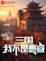 三国我不是曹睿无防盗