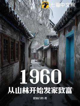 1960从饥荒年开始发家致富