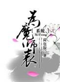 为魔师表简介