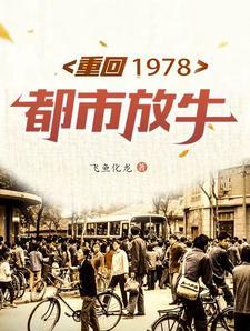 重回1978年全文免费阅读无弹窗