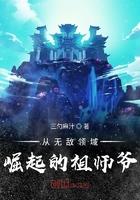 从无敌领域崛起的祖师爷介绍