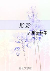 形影 芒果馅粽子