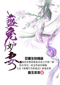 盛宠妻宝全文免费